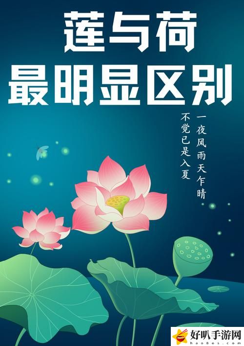 倒插莲花男女之间的寓意: 这象征着什么，反映了怎样的情感关系？
