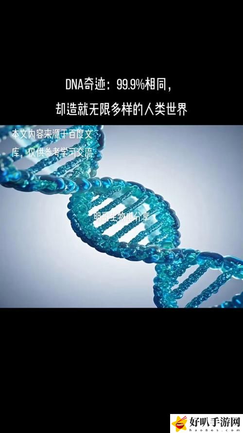 人与畜禽dna的dna免费