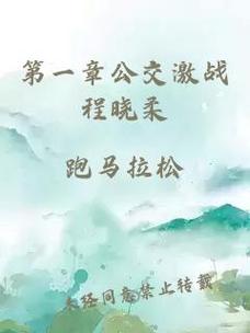 《第一章公交激战程晓柔》