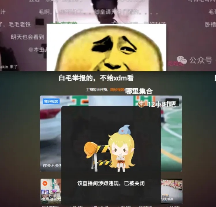 _泳装活动刷qp_林志玲穿短裤出镜节目