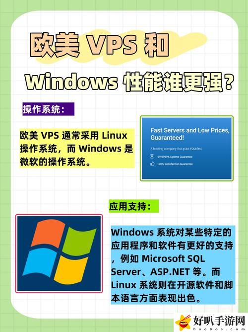 欧美VPSWINDOWS性另类