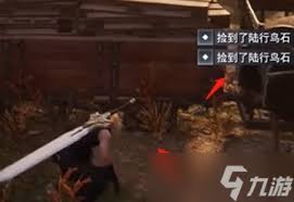 最终幻想7重生陆行鸟捕捉技巧