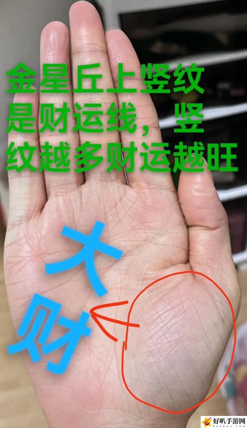 大BBBBBB老人的爱情与财运