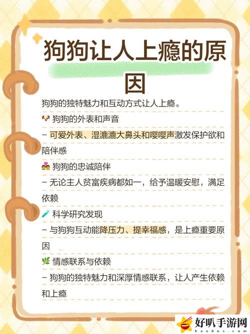 狗狗让人上瘾戒不掉怎么办