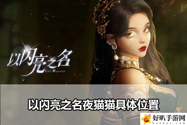 以闪亮之名夜猫猫具体位置：资源利用与高效升级