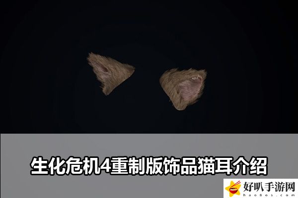 生化危机4重制版饰品猫耳介绍：战斗中的技能连携配合