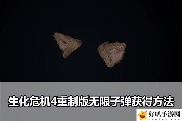 生化危机4重制版无限子弹武器获得方法：副本通关有效攻略