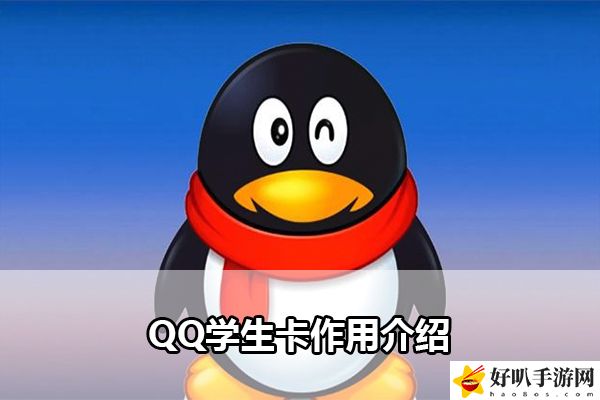 QQ学生卡作用介绍：攻略明确升级要求