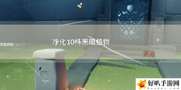 光遇11.29任务怎么做