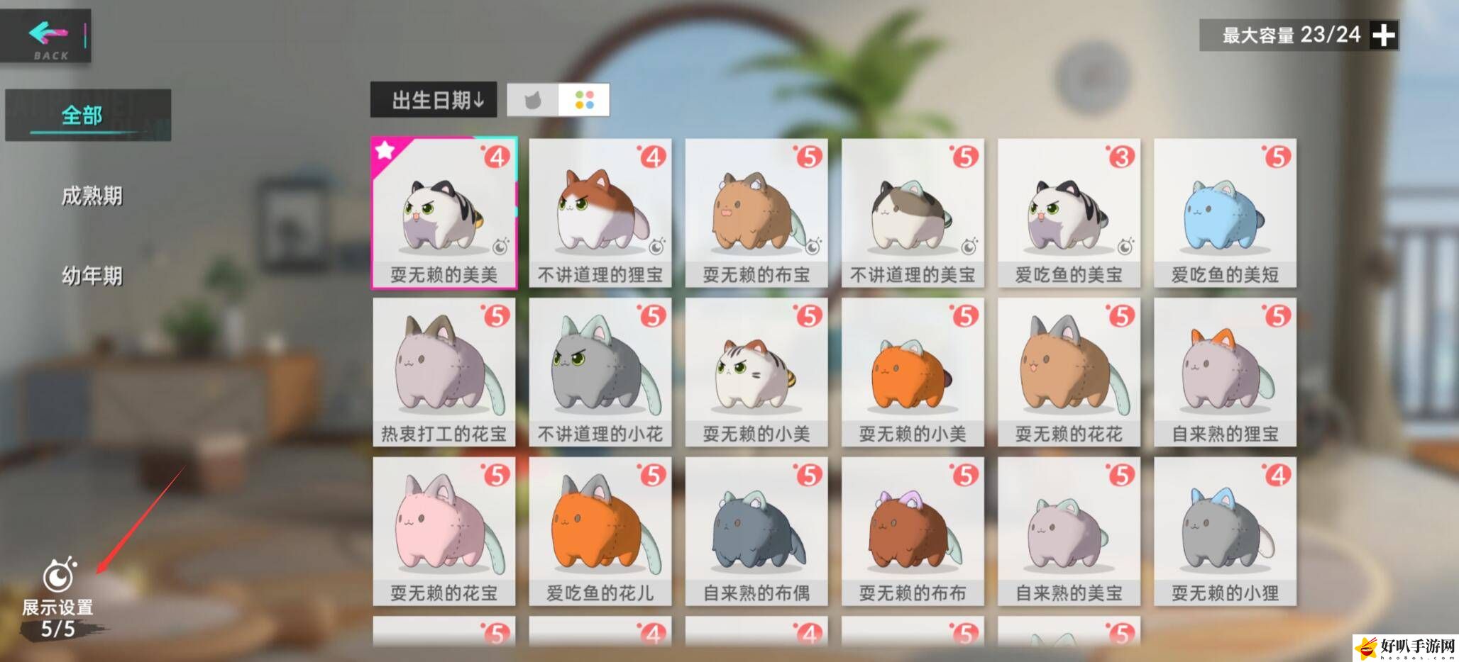 猫之城猫屋中猫球怎么放置