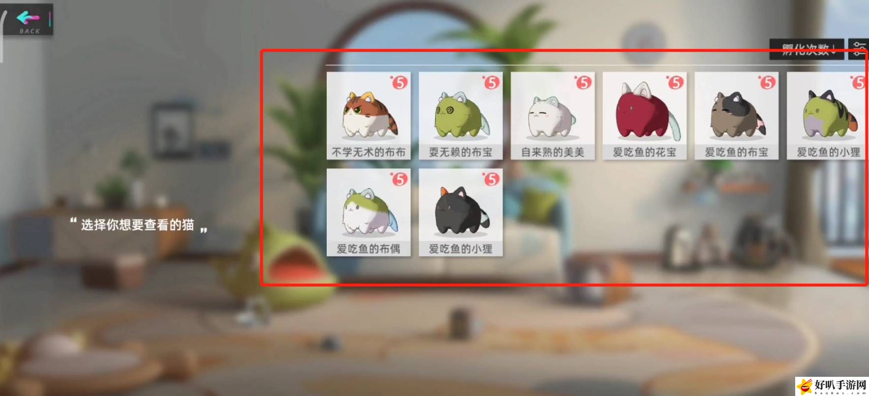 猫之城怎么登记猫球