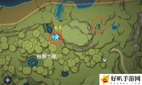 原神梦之树在哪