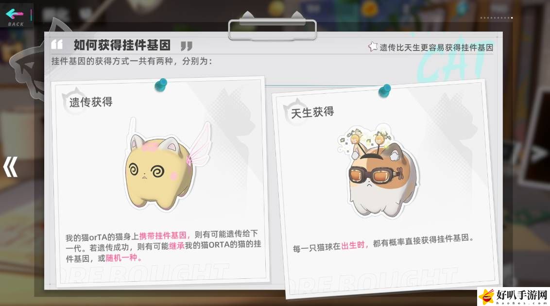 猫之城如何获得挂件基因