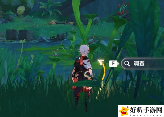原神林中奇遇远足任务攻略