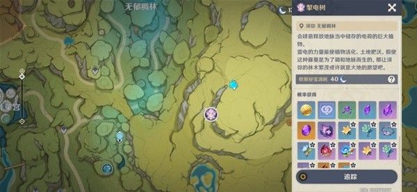 原神掣电树在哪