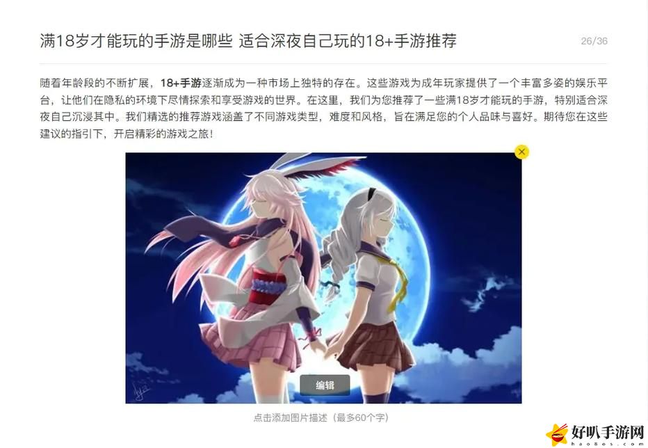 适合18岁以上玩的游戏