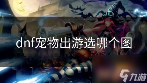 dnf宠物推荐_dnf刷图宠物_