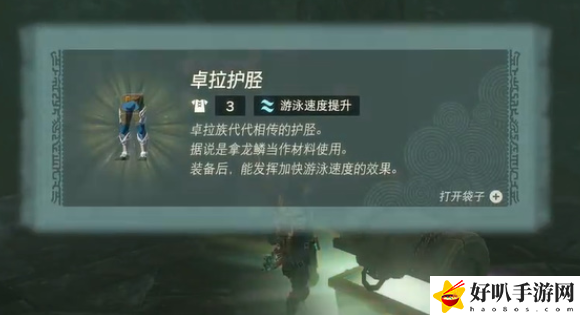 塞尔达传说王国之泪卓拉护胫怎么获得