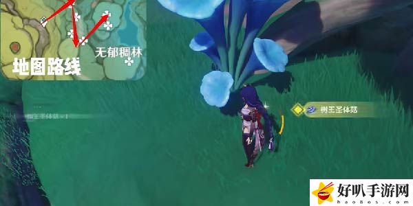原神树王圣体菇采集路线