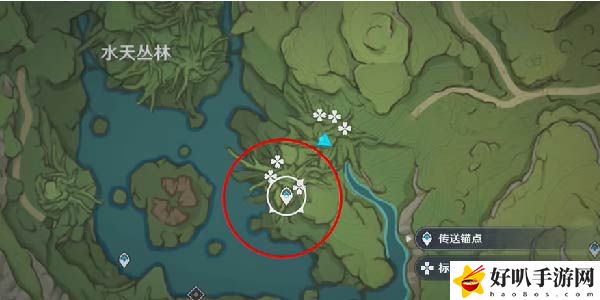 原神树王圣体菇采集路线