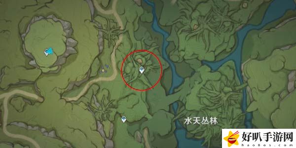 原神树王圣体菇采集路线