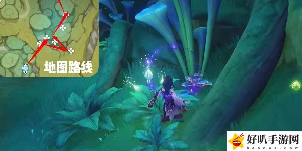 原神树王圣体菇采集路线